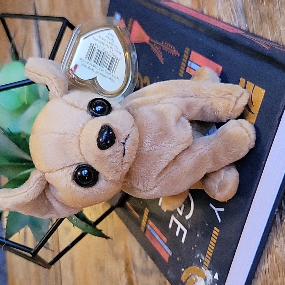TY 1999 Original Beanie baby | Tiny the Chihuahua dog